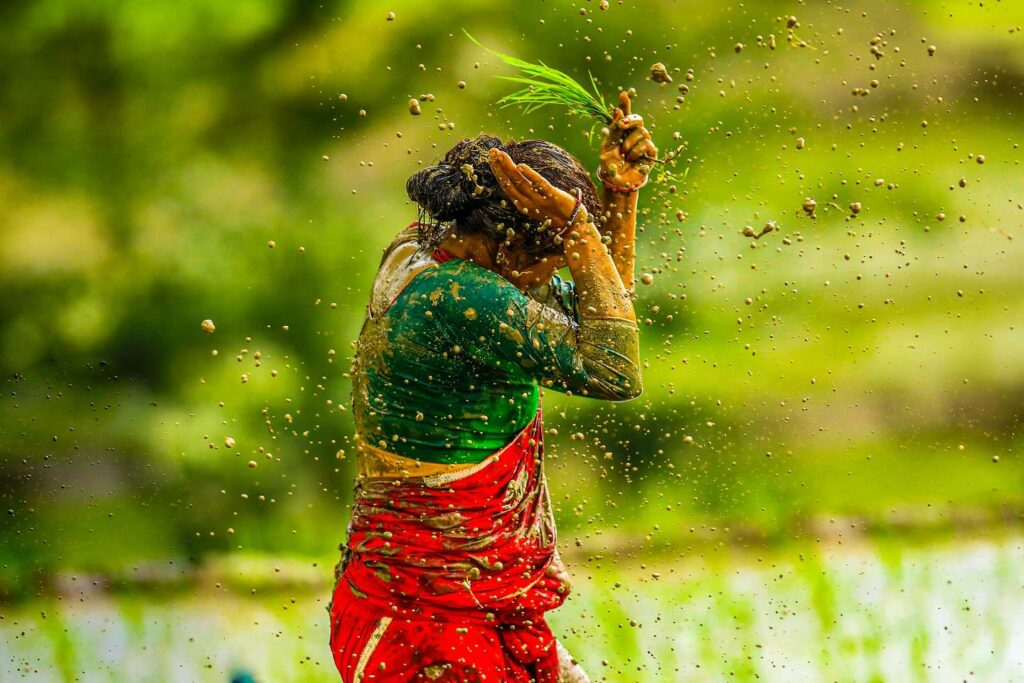 असार १५ को रोपाइँ उत्सव